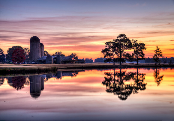 Morgan Dairy Dawn
