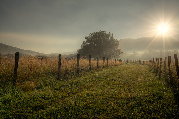 Sparks Lane service road, Cades Cove
