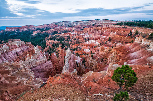 Bryce Canyon, Utah