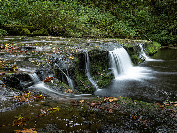 Falls at Sweet Creek