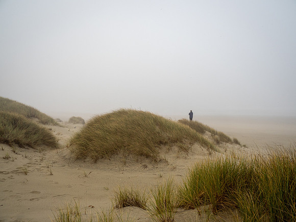 Oregon Dunes