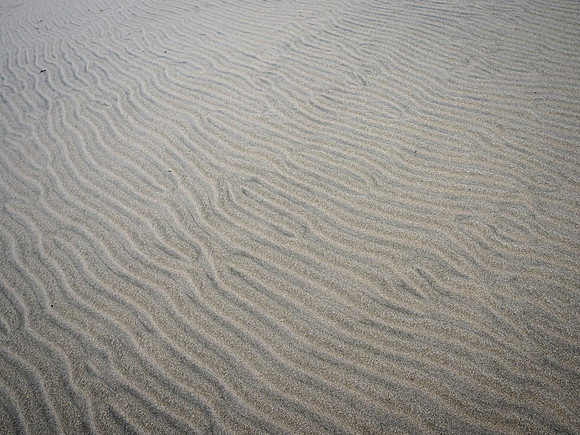 Sandy beach on Oregon Dunes