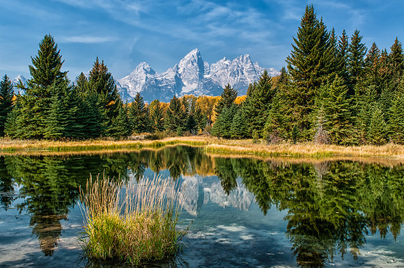 Schwabacher's Landing
