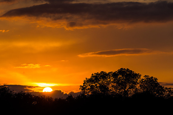 African Sunset