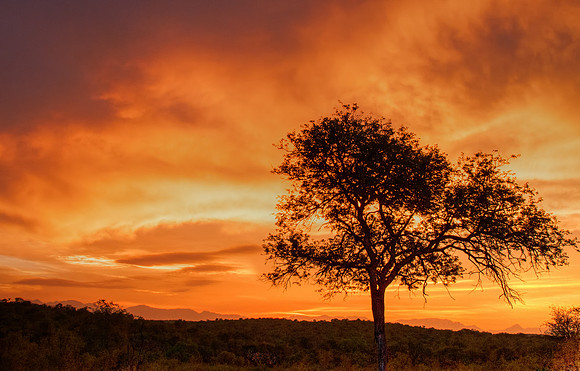 African Sunset2