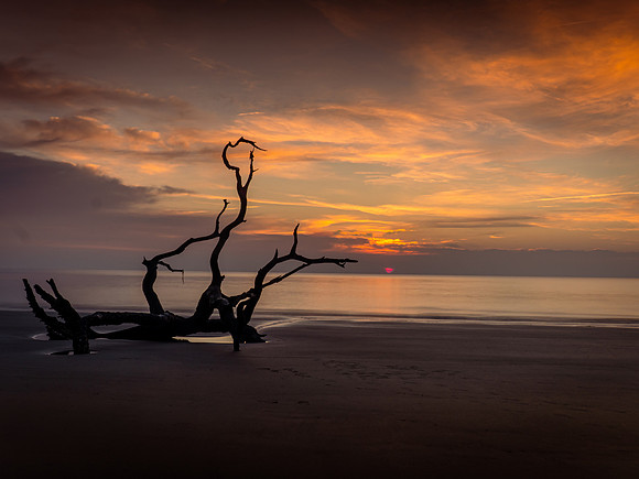 Driftwood Beach Sunrise
