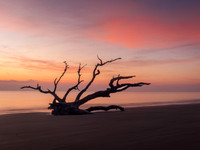 Driftwood Beach Dawn 2