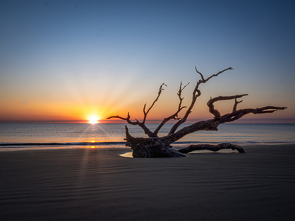 Driftwood Beach Sunrise
