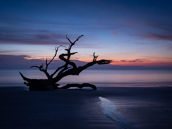 Jekyll Sunrise