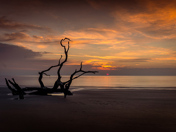 Sunrise on Driftwood Beach
