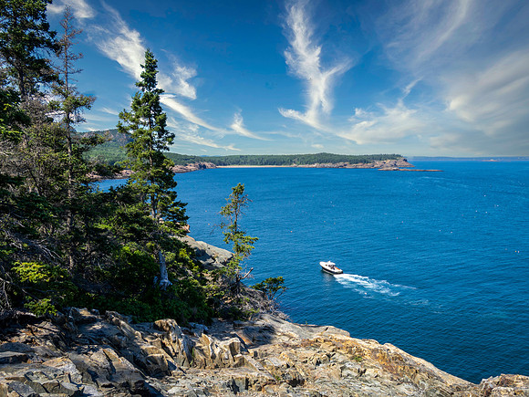View from Loop Road, Acadia National Park, Maine