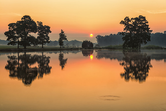 Morgan Dairy Sunrise_2