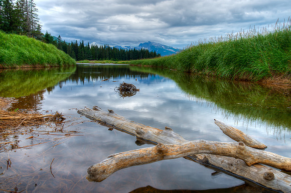 Lake Clark N.P. near Red River