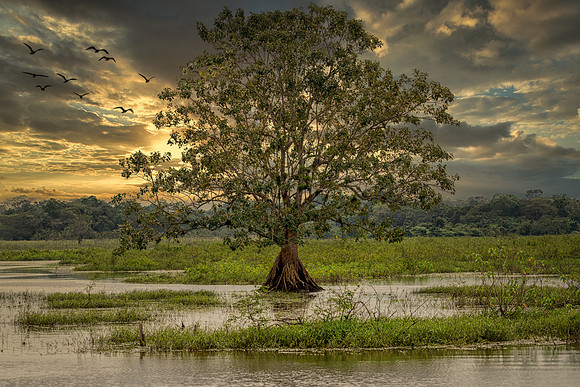 Costa Rica