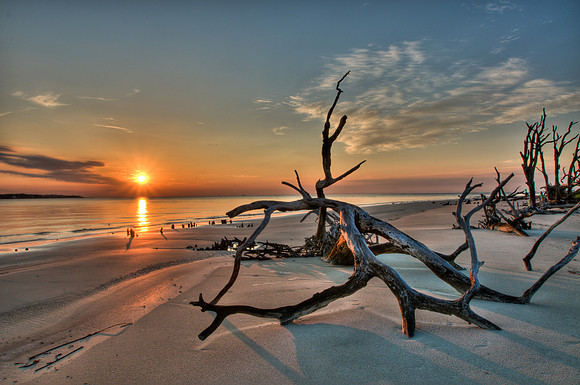 Driftwood Beach