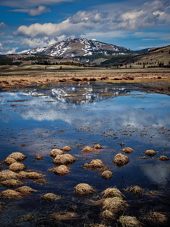 Lamar Valley