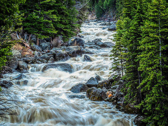 River in Yellowstone N.P.