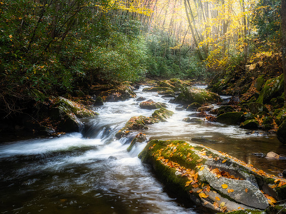 Tremont Stream