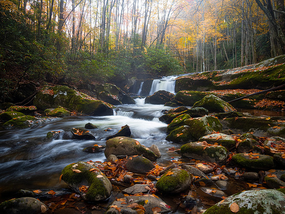 Lynn Camp Waterfall
