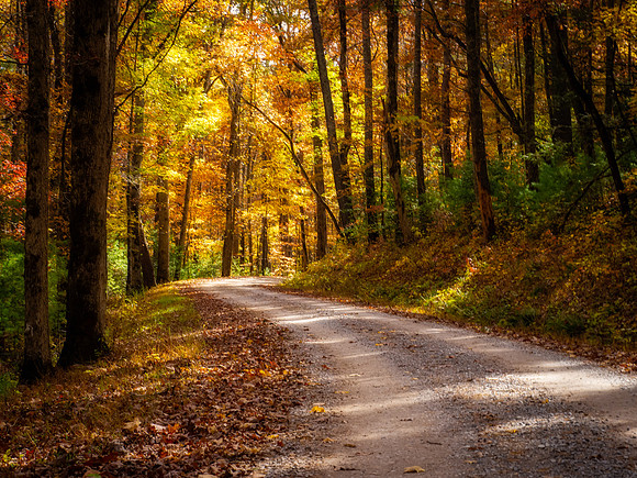 Rich Mt. Road