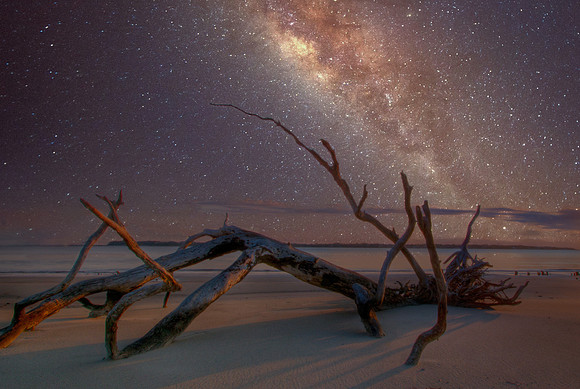 Driftwood Beach, Jekyll Island