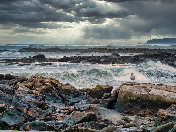 Sea Wall near Southwest Harbor, Maine