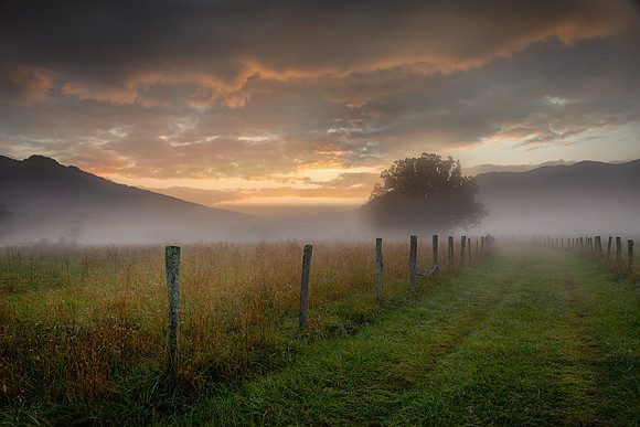 Cades Cove