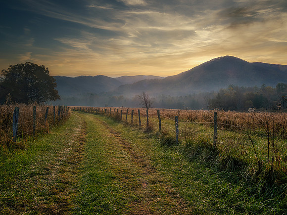Cades Cove 2020, Smoky Mt. N.P.