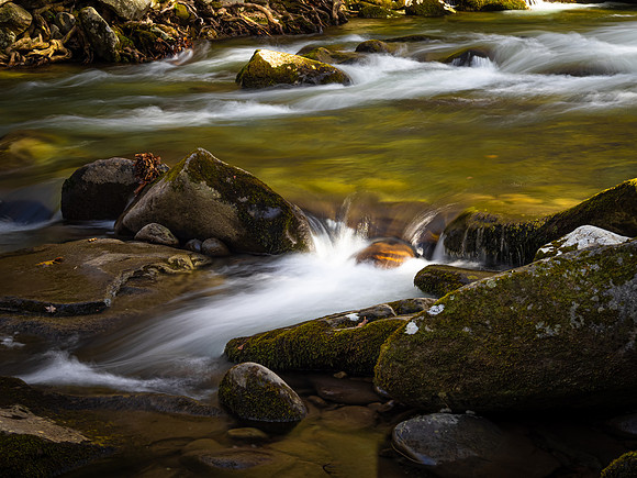 Smokies Stream