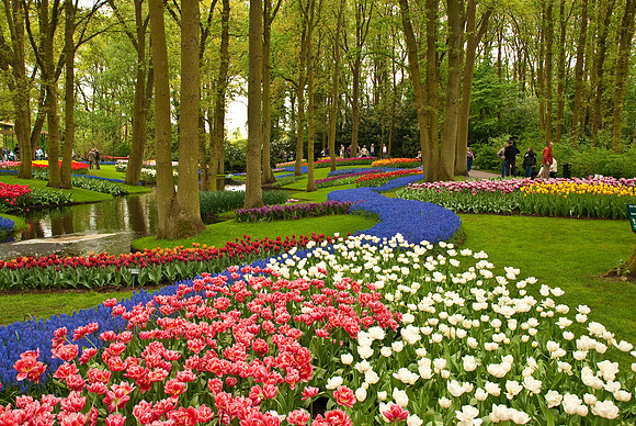 Keukenhof Gardens, Holland
