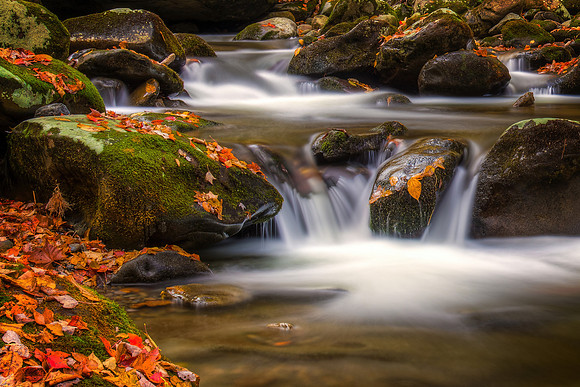 SMOKIES 18 X 12 PRINT