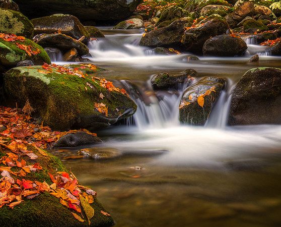 Smoky Mountains National Park