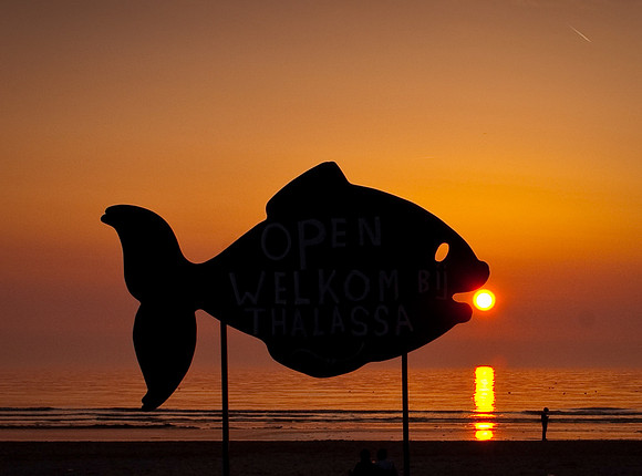 Thalassa Beach Sunset, Holland