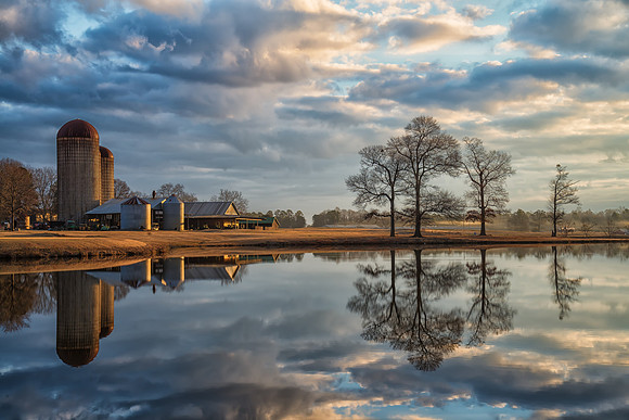 Morgan Dairy Farm Sunrise